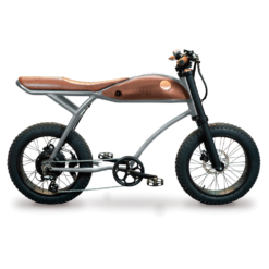 Bicicleta eléctrica Rayvolt Ringo Silver / 250W / 40 a 60 Km autonomía