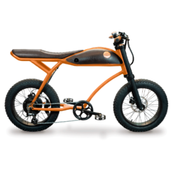 Bicicleta eléctrica Rayvolt Ringo Orange / 250W / 40 a 60 Km autonomía