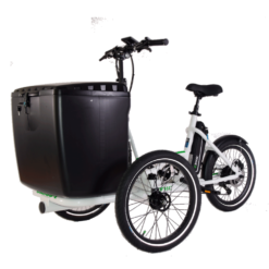 Alternative view of Triciclo eléctrico ETNNIC CARGO TRIKE / 250W / Baúl