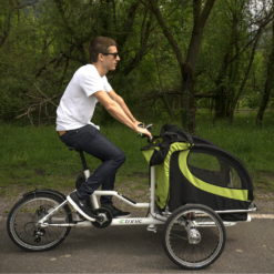 Alternative view of Triciclo eléctrico ETNNIC CARGO TRIKE / 250W / Cubierto